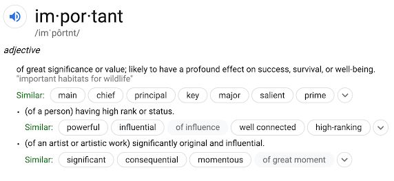 Google definition of important
